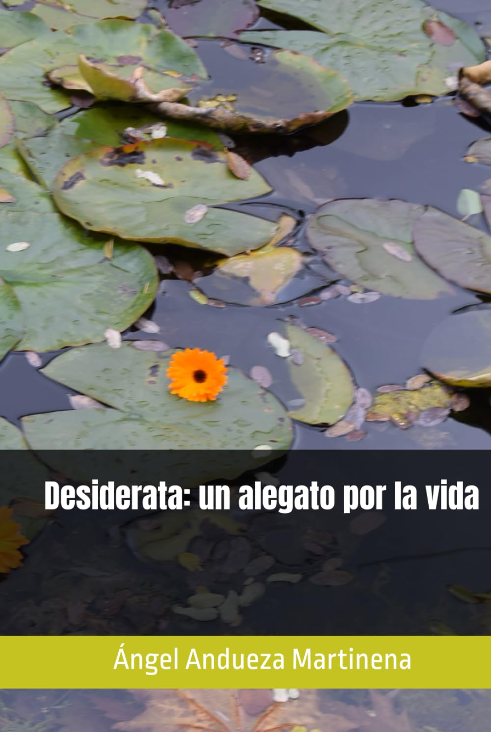 Desiderata: un alegato por la vida