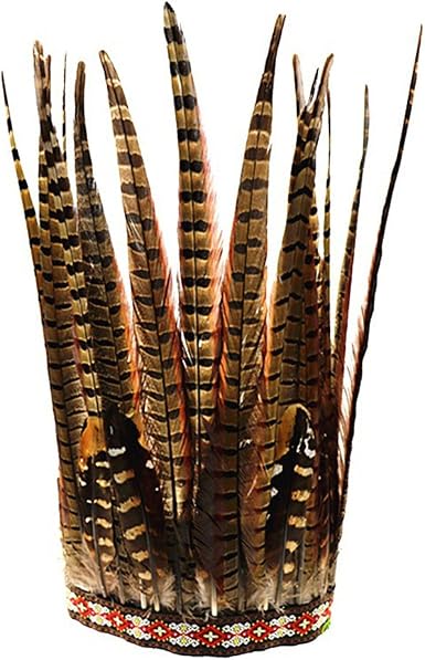 Indian Feather Headdress Chief Costume 