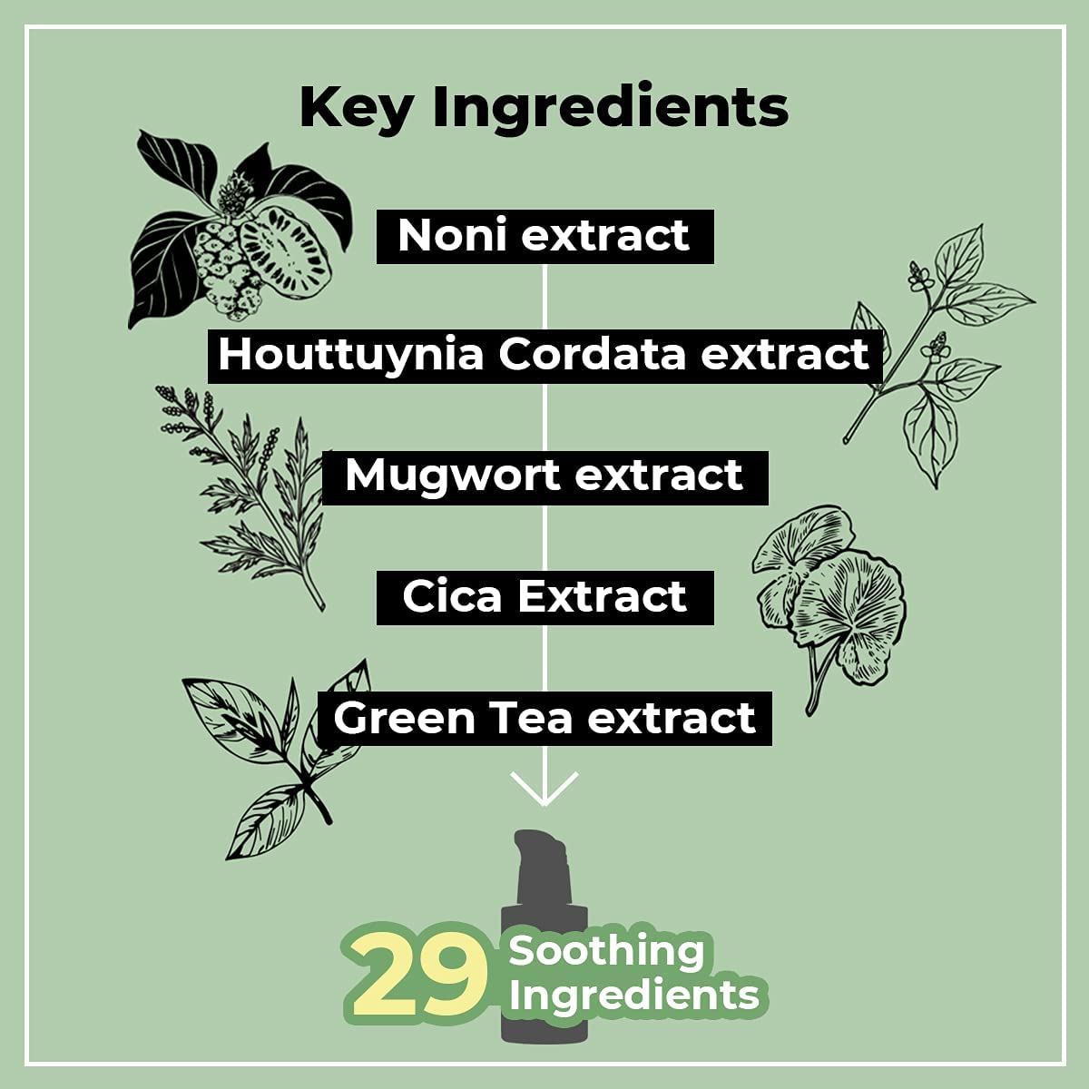 numbuzin No.7 Serum | Mild Green Soothing Serum | Soothing Green Gel for Acne-Prone Skin, Sensitive Redness | Centella Asiatica, Green Tea, Noni | Korean Skincare for Soothing | 1.69 fl. oz. - Image 5