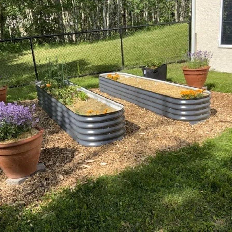 61IFgqzycLL._AC_UF894, 61IFgqzycLL._AC_UF894,