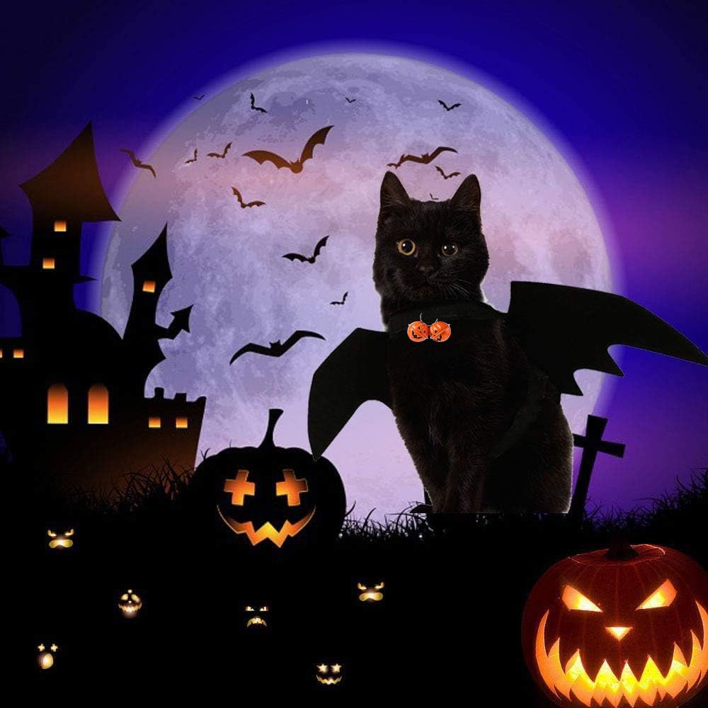 Katze Fledermaus Kostüm Mit Kürbisglöckchen - Halloween Verkleidung Für Kleine Hunde & Katzen