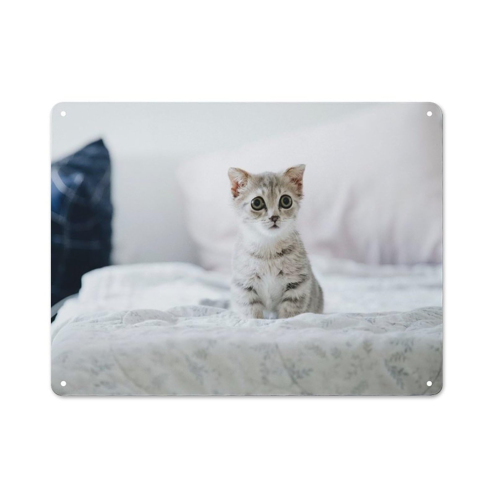 Junmoney Style-15 Cute Kitten On Bed Decorative Metal Plaque 30X40cm, Shop Front Style Bistro Wall Plaque For Tea Room, Shop Wall Or Breakfast Area