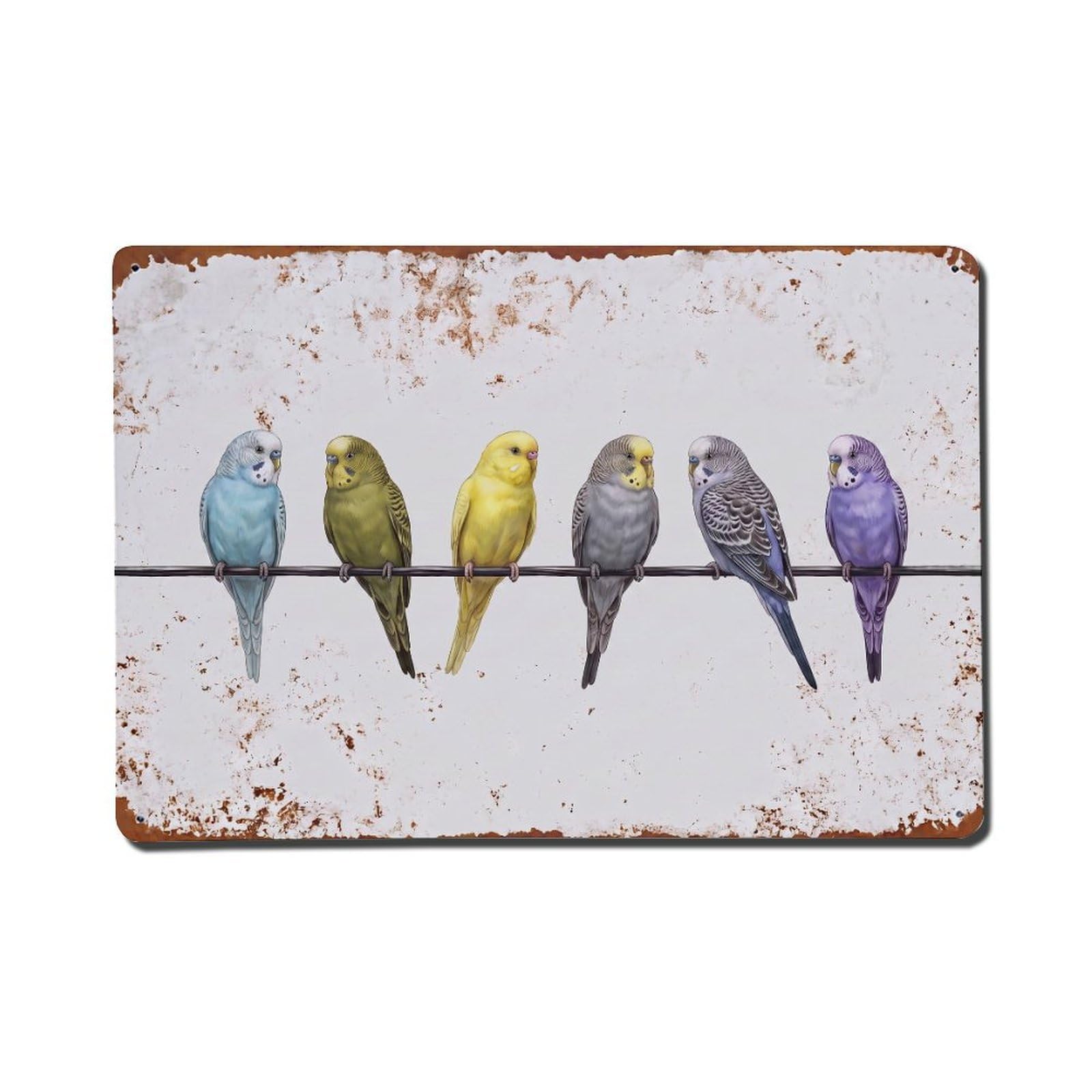 Vintage Retro Birds Budgerigar Metal Tin Sign