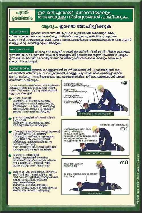 Recovery Position First Aid Malayalam Poster | Educational Workplace Safety Wall Art | Emergency Response & CPR Awareness Chart for Hospitals, Schools & Factories (2x3 Feet, Eco Vinyl - Unframed)-image-47