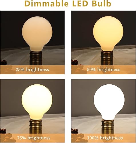 Miniatura 3 de Paquete de 6 bombillas LED G25 (G80), 5 W, regulables, equivalentes a 40 vatios, bombillas LED Edison, blanco cálido 2700 K, 500 lm, base E26,