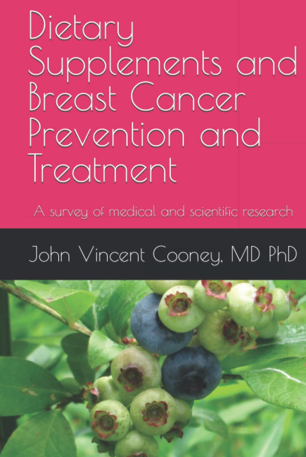Dietary Supplements and Breast Cancer Prevention and Treatment: A survey of medical and scientific research