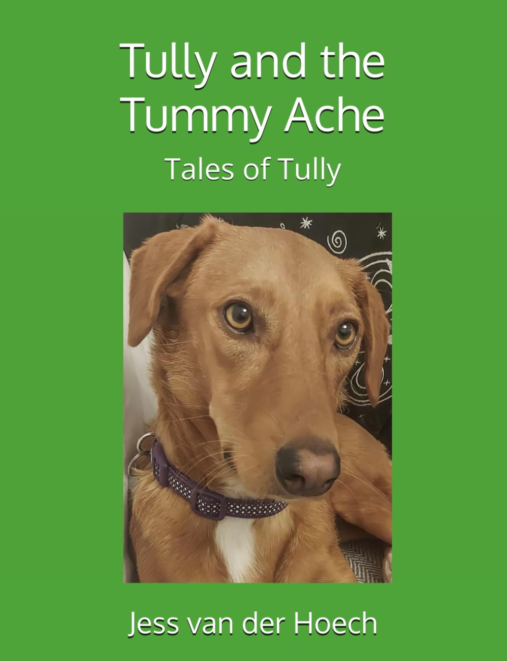 Tully and the Tummy Ache: 8 (Tales of Tully)