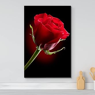 Canvas Prints Wall Art - Closeup of Red Rose Flower Against Black Background | Modern Wall Decor/Home Decoration Stretched Gallery Canvas Wrap Giclee Print & Ready to Hang - 12" x 18"