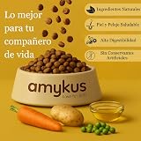 Ver la foto 3