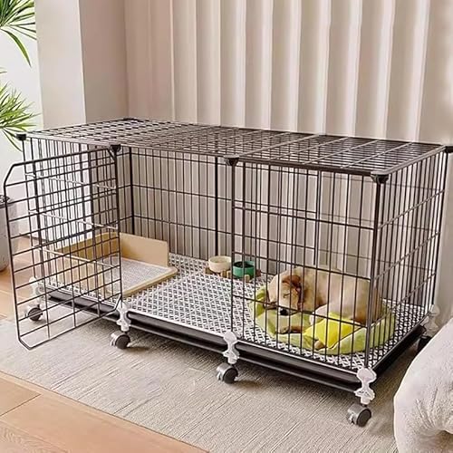 GEBYUI ybgy/P[W Lpb^E^ & qLp gCt jo[TzC[ & }bgt