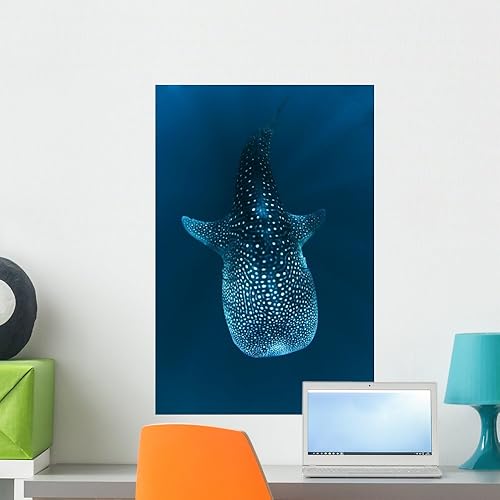 Vista 9 de requin Baleine dans le Mural Wallmonkeys despegar y pegar Graphic wm31667