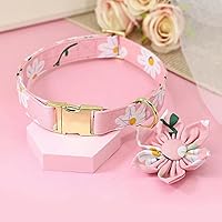 Vista 4 de Beirui Lindos collares para perras con patrones florales vibrantes, collar de perro hembra con flor para caminar, collar ajustable y duradero