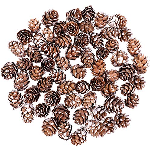 Cooraby 50 Stück Mini-Schnee-Tannenzapfen, 2-3 cm, Weihnachtsschnee-Tannenzapfen, Ornamente für Heimdekoration, Herbst und Weihnachtsbasteleien Cover