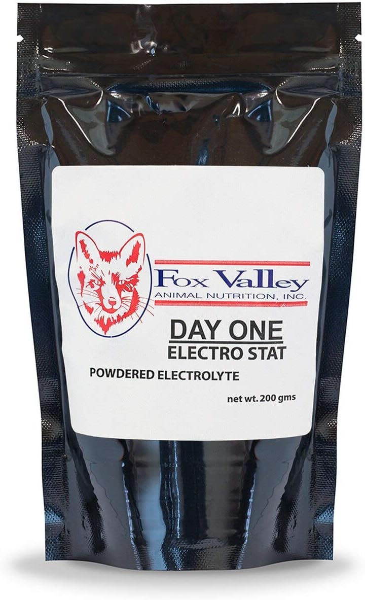 Electro-STAT Electrolyte Replacer for Rehydration