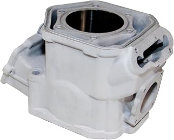 SPI, SM-09602, Cylinder for many 2009-2018 Ski-Doo 600HO ETEC Replaces OEM#s 420623262 & 420623263