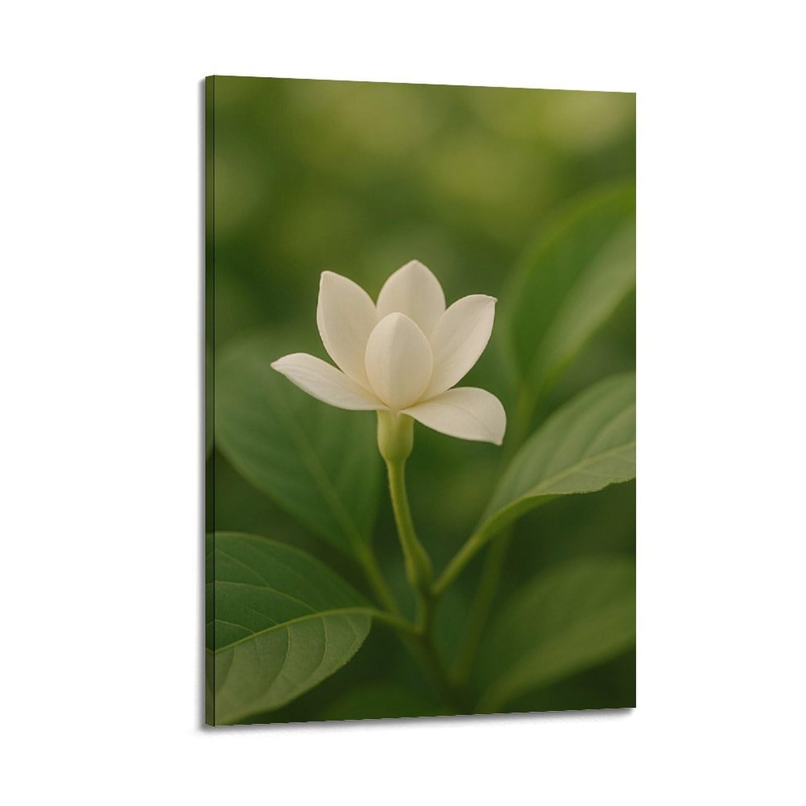 Fleur blanche d'exception sur feuilles vertes 40x60 ZHOUKEG