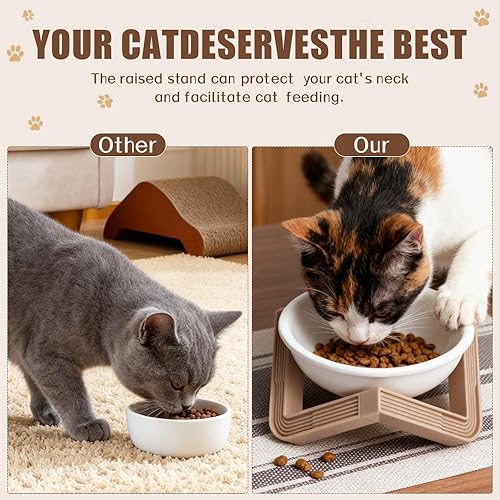 Miniatura 3 de 2Pcs Elevated Cat Bowls,5.1Inch Ceramic Stainless Steel Cat Dishes,Pet Holder Feeding,Tilted Pet Water Bowl for Cats Small Dogs (Ceramics)