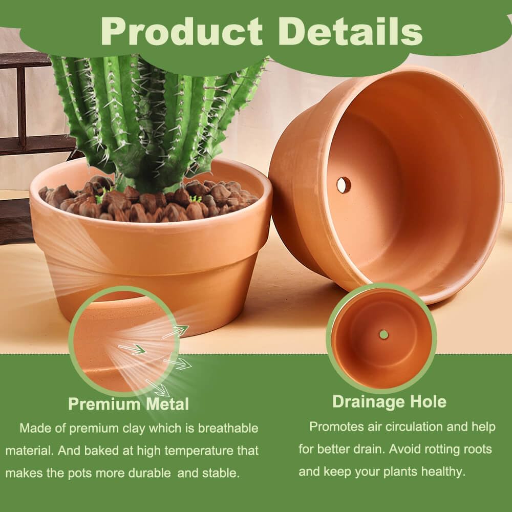 8 Inch Shallow Terracotta Pot for Succulent - 2 Pcs Large Clay Planter Pots with Drainage Hole, Shallow Plant Pottery Pots for Cactus Succulent and Other Indoor Outdoor Plants