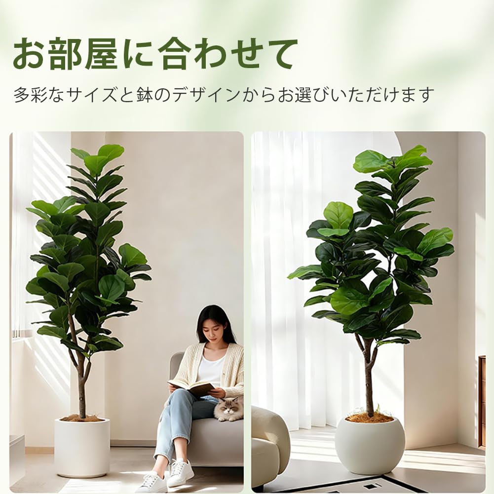 大型160cm！　フィカス・リラータ　カシワバゴムの木　フェイクグリーン Amazon｜Fuyutu フェイクグリーン 大型 カシワバゴムノキ 160cm