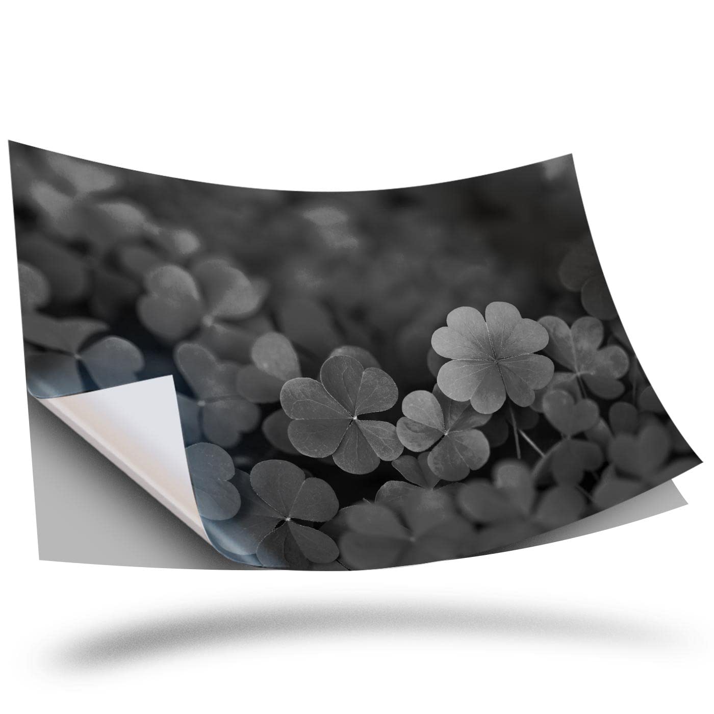 1 x Vinyl Sticker A3 Rectangle Shape 420x297mm - BW - Lucky Green Clover Irish Art Print Decal Laptop Tablet Luggage Car Wall Fridge Door Sticker #38039