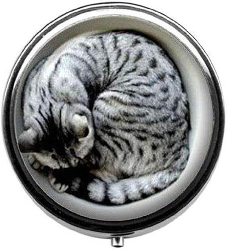 Pastillero de gato dormido, joyería de gato, regalo de gatito para mujer hecho a mano
