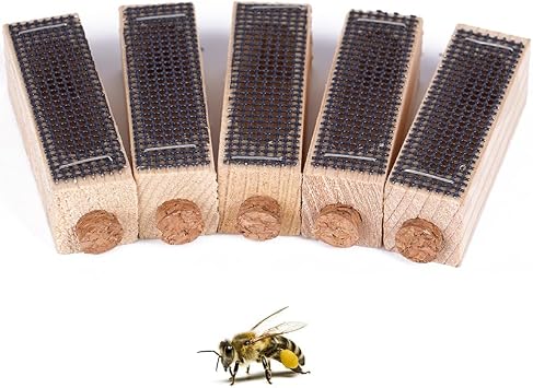 5pcs Wooden Queen Bee Cage Bee Queen Catcher Mutil-Functional Beehive Bee Cage Rearing Cage Cell Beekeeping Tools