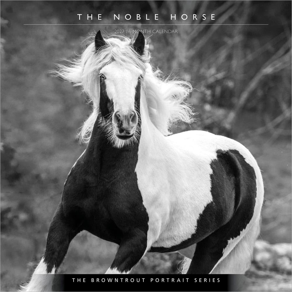 The BrownTrout Portrait Series: El Caballo Noble | Calendario mensual cuadrado de pared 2027 de 12 x 24 pulgadas (colgando) | Sin plástico | Mascotas ecuestres