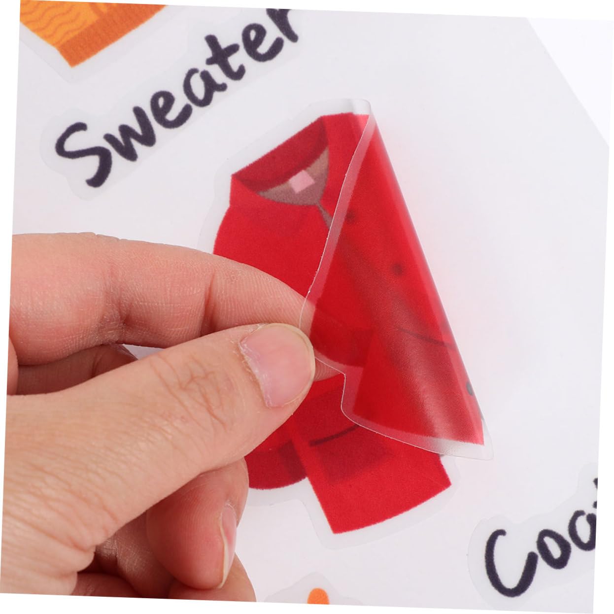 VICASKY 6sets Etichette Adesive Per Abbigliamento Di Stickers Rimovibili Per Ordinare Vestiti Etichette Decorativa Per Armadi e Scaffali Facile Applicazione e Rimozione Per Adulti