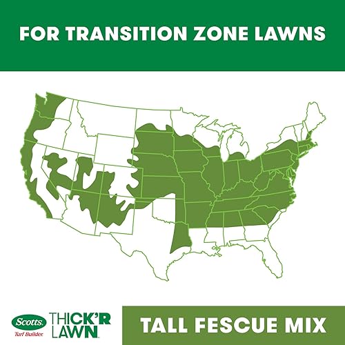 Miniatura 6 de Scotts Turf Builder Thick'R - Mezcla de festuca alta para césped, semillas combinadas, fertilizantes y mejoradores del suelo, espesa el césped