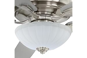 Ceiling Fan Frosted Light Accents Light Fixture Glass Bowl Shade