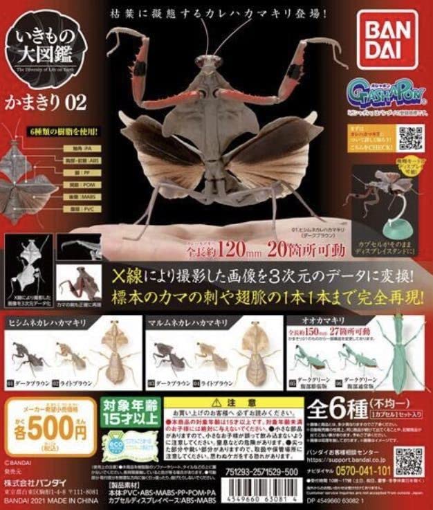Amazon.co.jp: ガチャガチャ いきもの大図鑑 かまきり02 マルムネ