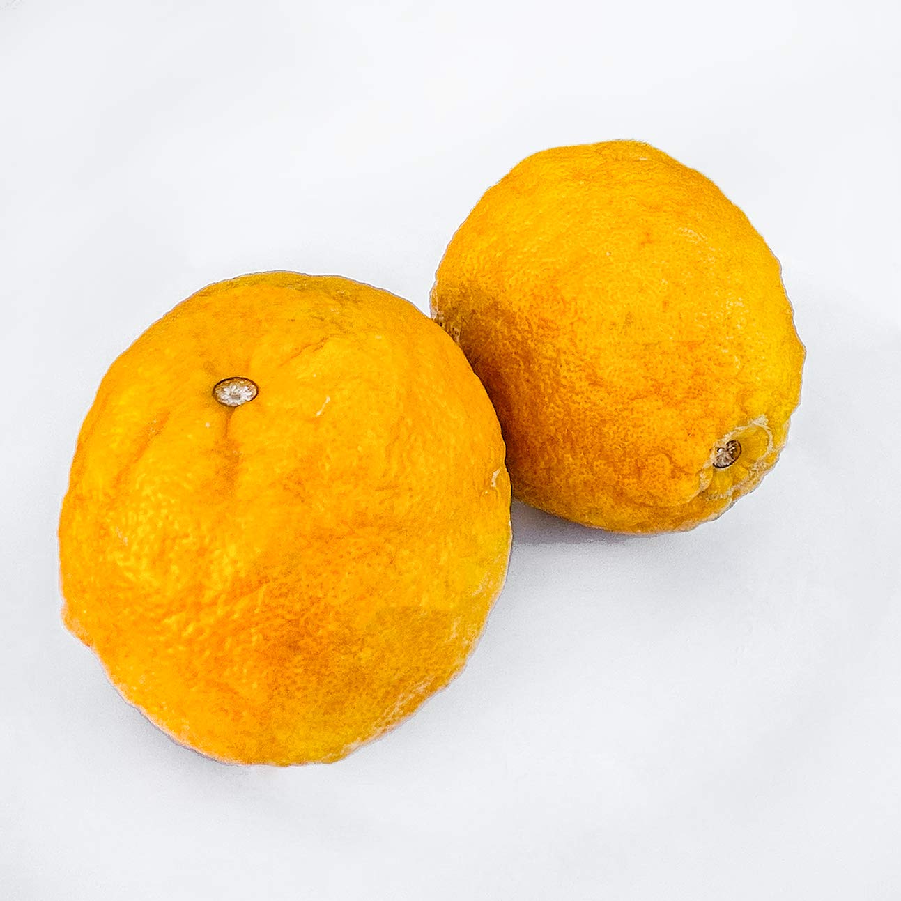 Kejora Fresh Seville Oranges/Bitter Oranges 4 LB