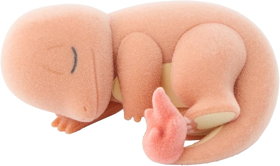 フィギュアコレクション Pokemon Sleep ワカクサ本島 コンプ Amazon.co.jp: ポケモンセンターオリジナル フィギュアコレクション