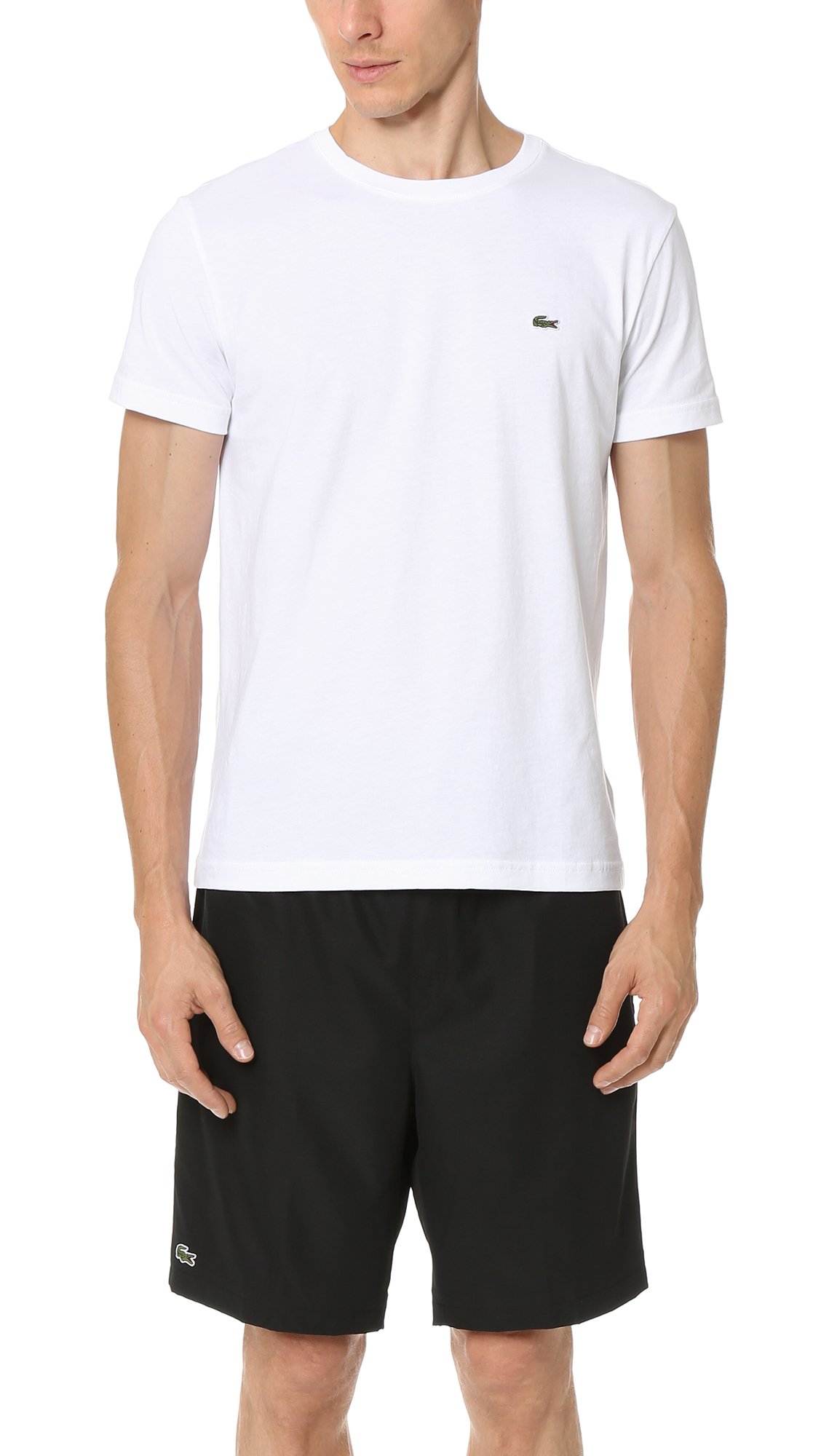 Lacoste mens Discontinued Short Sleeve Crew Neck Pima Cotton Jersey T-shirt T-Shirt