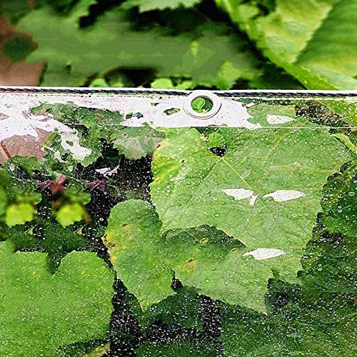 Bâche transparente en PVC 0.5mm imperméable avec œillets pour couverture extérieure - 6