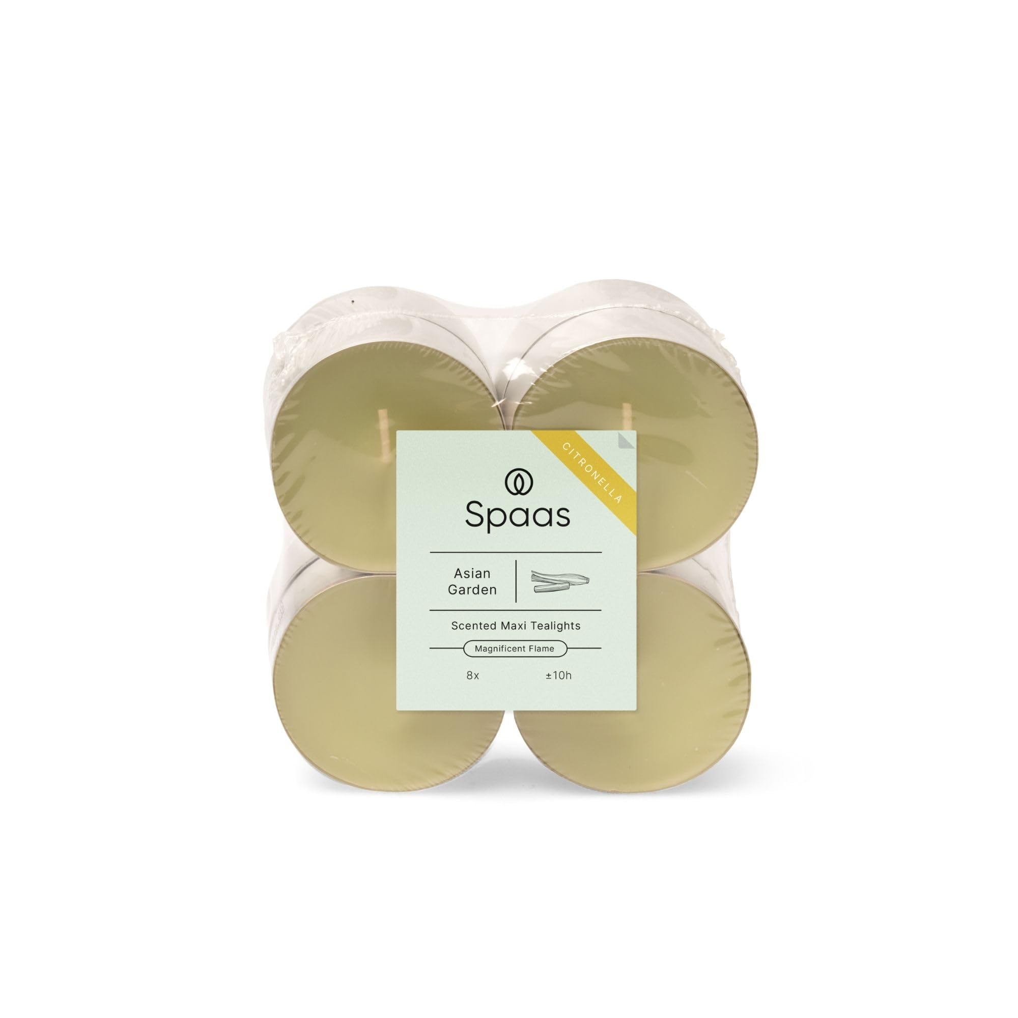 Spaas 8 x 8 Citronella Maxi Tealights, ± 10 Hours, Pistachio Green, Asian Garden