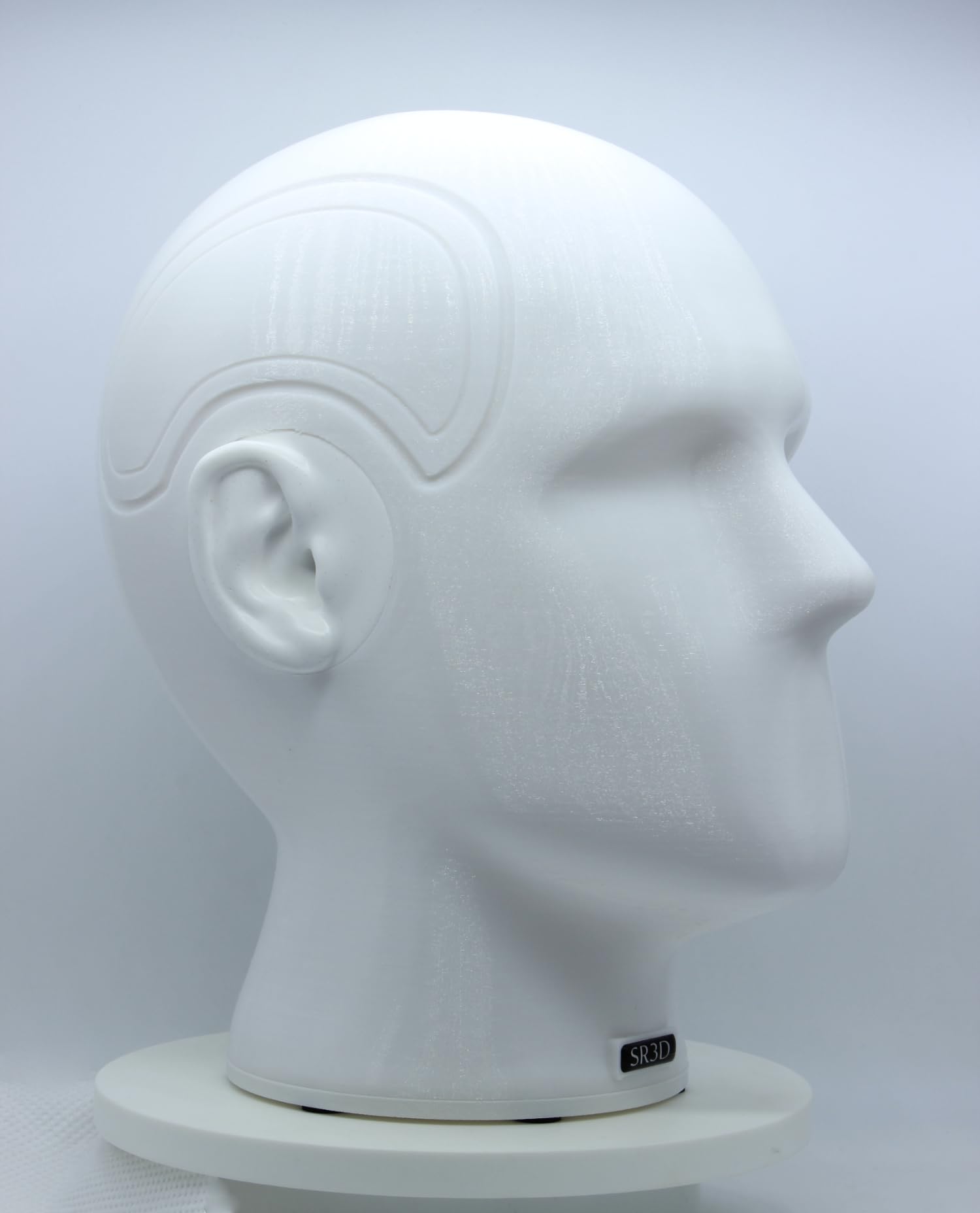 SR3D SRB-1モデル　XLRケーブル付き Amazon.co.jp: SR3D SRB-1 : 楽器・音響機器
