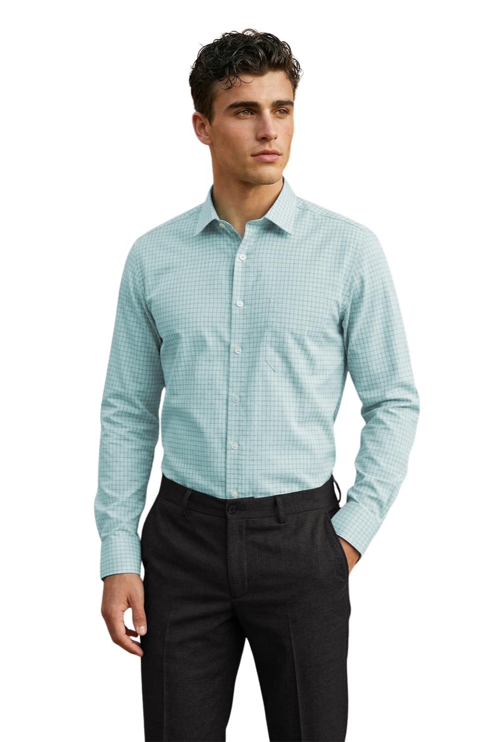 louis philippe Men's Easy to Iron Premium Cotton Wrinkle Resistant Slim fit Checks Formal Shirt-picture-41