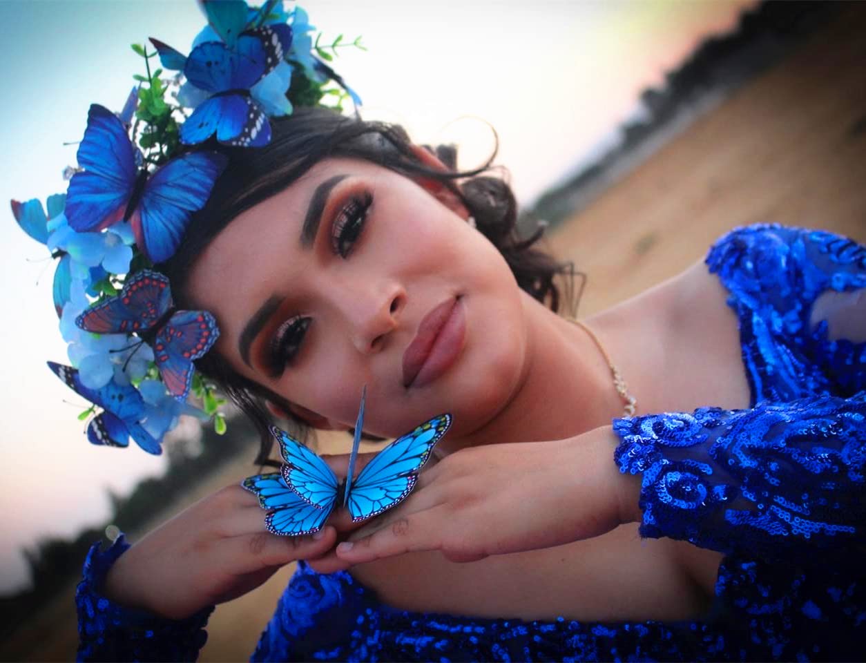 Amazon.com : Alove Ditto Blue Butterflies Crown Flowers Headband