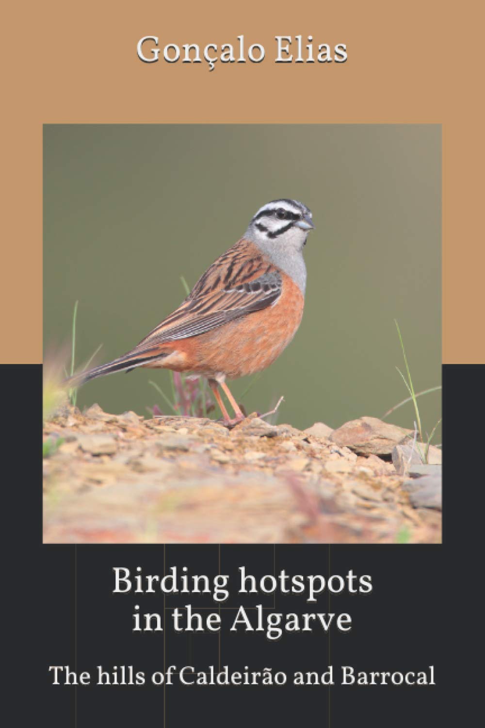 Birding hotspots in the Algarve: The hills of Caldeirão and Barrocal: 5