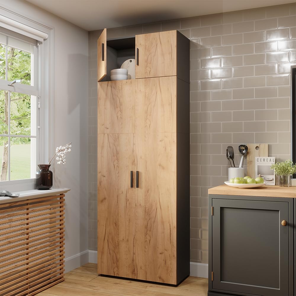Vicco Étagère à dossiers Frank, Anthracite/chêne doré, 80x223.8cm avec Fixation d'armoire, pour Un Rangement Clair des dossiers et classeurs