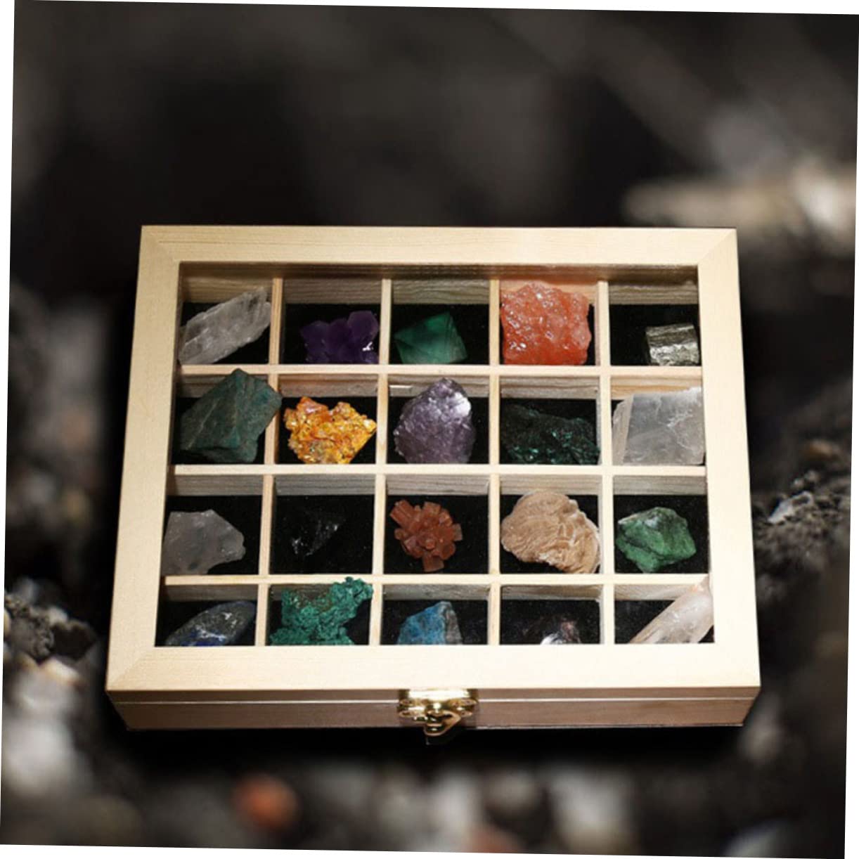 20 Stück Teiliges Mineralien Natursteine Sammlungsbox für Geologische Lehrproben für