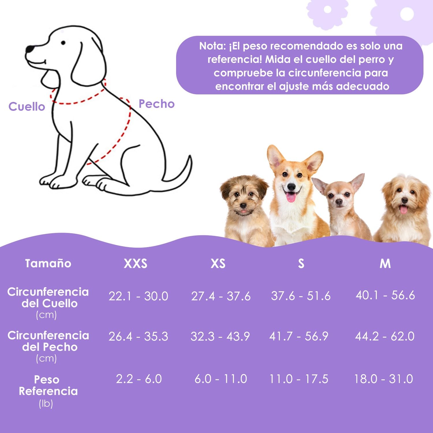 SlowTon Arnés Antitirones para Perros con Correa – Arnés Suave y Ligero de Entrada Fácil para Cachorros, Arnés Ajustable para Perros Pequeños y Medianos
