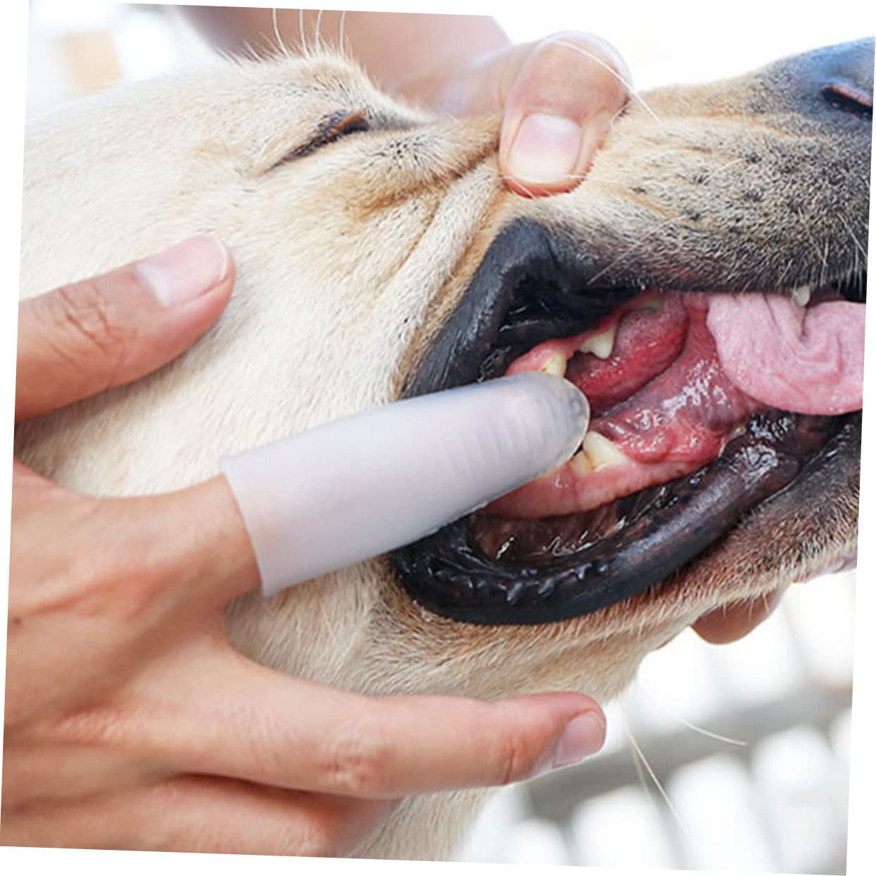 BESPORTBLE 2pcs Doggie Toothbrush Pet Care Tool Soft Silicon Safe for Puppies Easy to Use