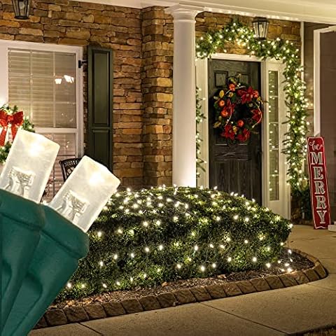 Wintergreen Lighting Set of 100 LED Warm White LED Net Lights – Christmas Net Lights, Outdoor Christmas Decorations, Green Wire (4 x 6 ft, 5mm Lights, Warm White) Cover