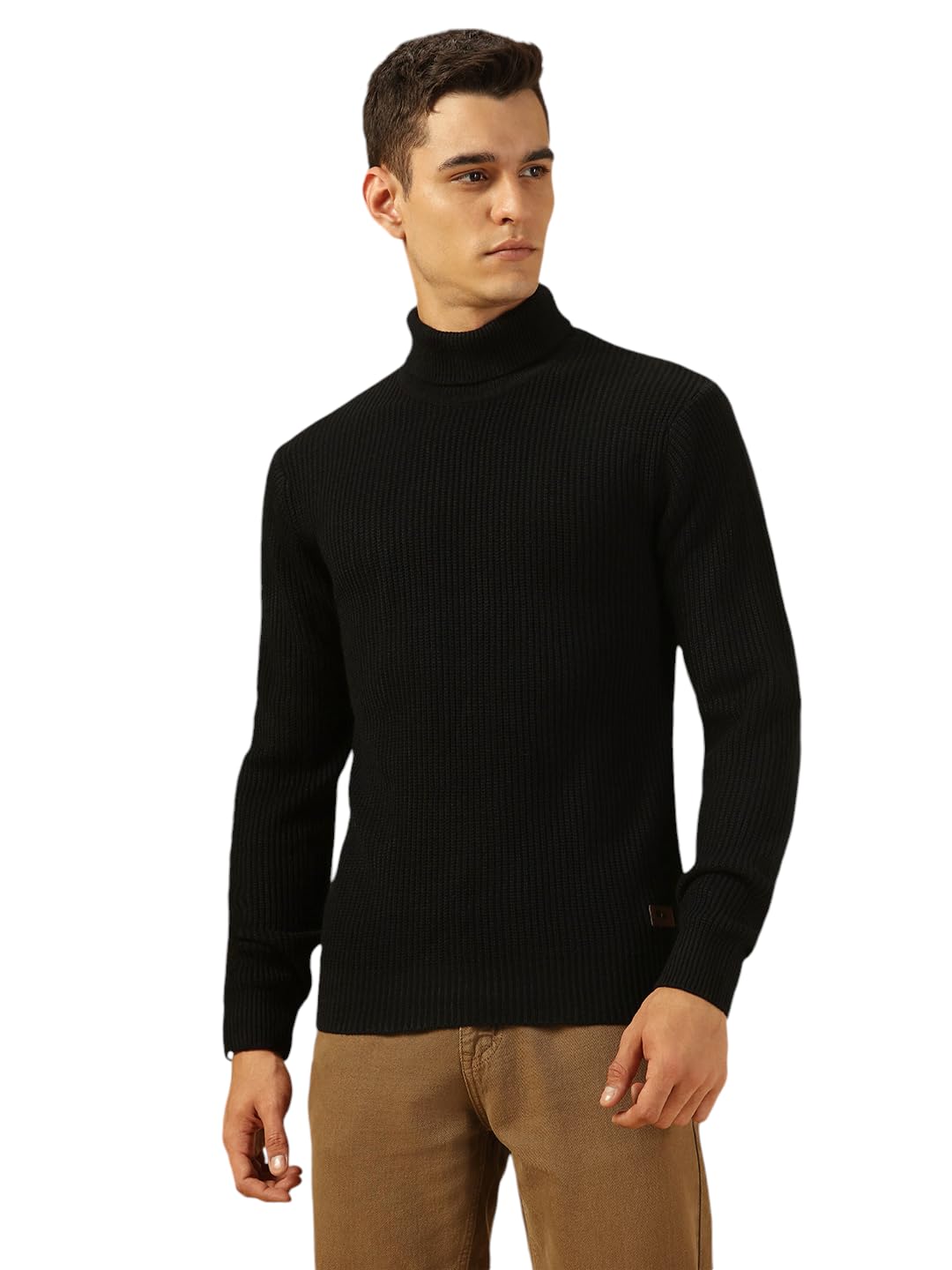 dennis lingo Men Regular Fit Acrylic Solid Full Sleeves Turtle Neck Pullover Sweater-picture-47