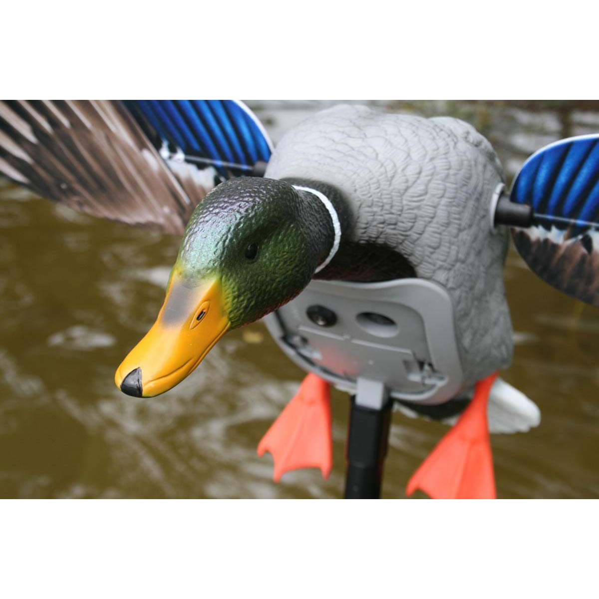 MOJO Outdoors Elite Series King Mallard Spinning Wing Motion