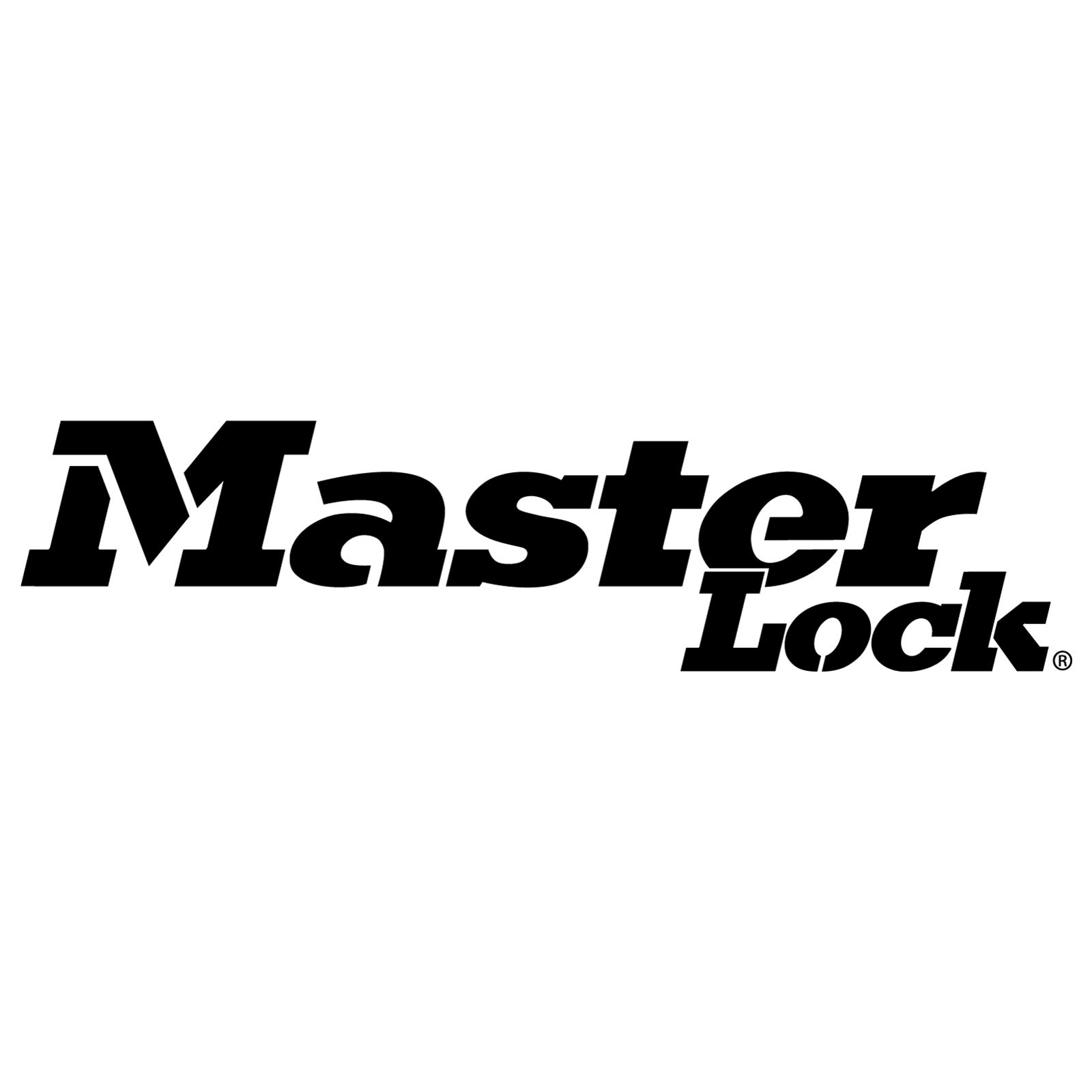 Master Lock 65D - Cable con revestimiento de vinilo autoenrollable de 6 pies con extremos de bucle