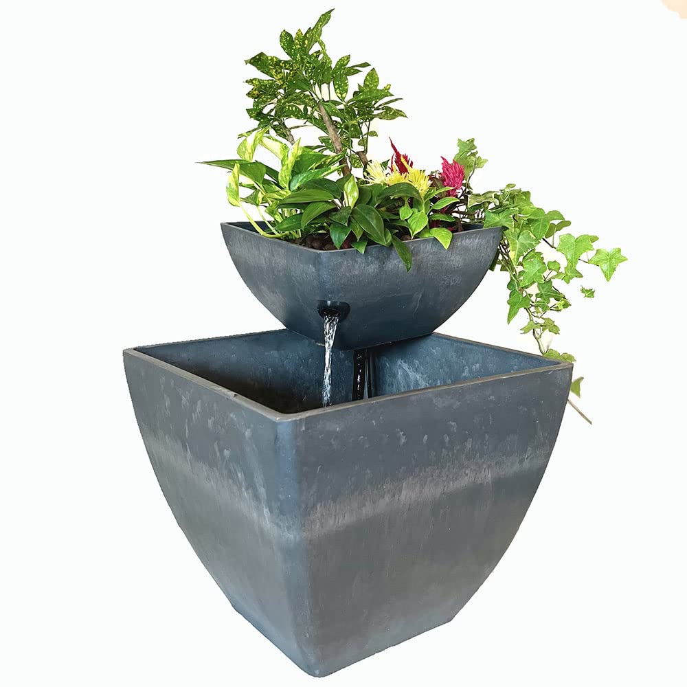 水菜商品 Amazon.co.jp: アクアポニックス キット 水耕栽培 家庭菜園