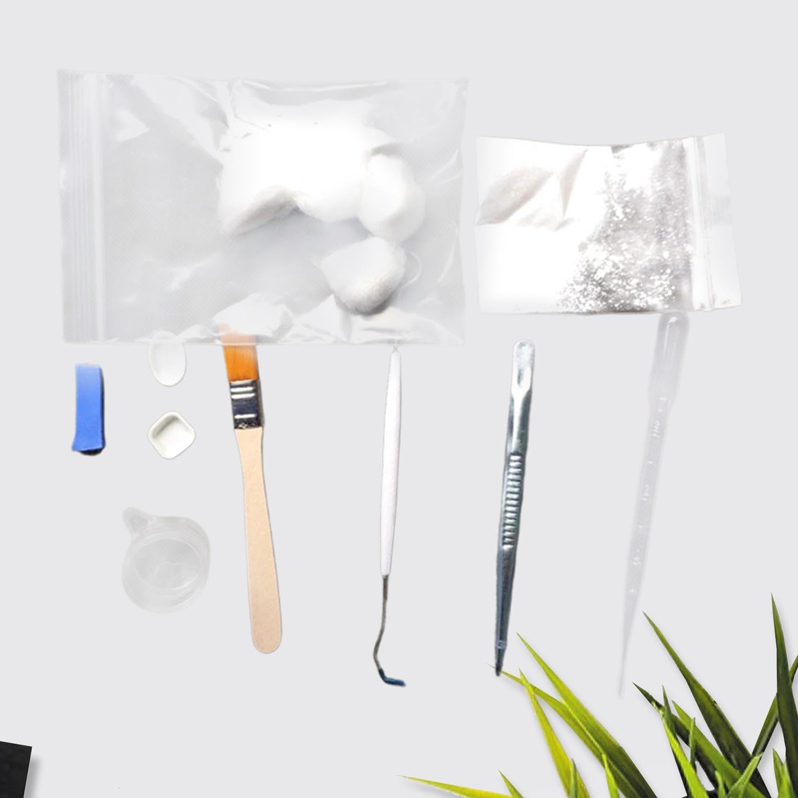 Baoblaze ANT Care Kit with Tools ANT Breeding Tool Three Cotton Balls Water Feeder Novice Raise Pets Tools Starter Tool Set for Farm